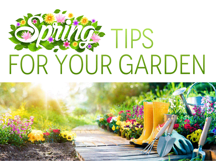Spring Tips for Your Garden  For those of you who have that green thumb, it’s time to get your garden ready for spring. Here are 5 tips to help you out this season.  1. Have a plan: Map your plan out to make sure it works with your landscape.  2. Ensure you have all the gardening tools needed.  3. 